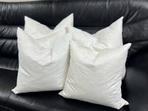 Down Feather Decorative Pillow Inserts - Square